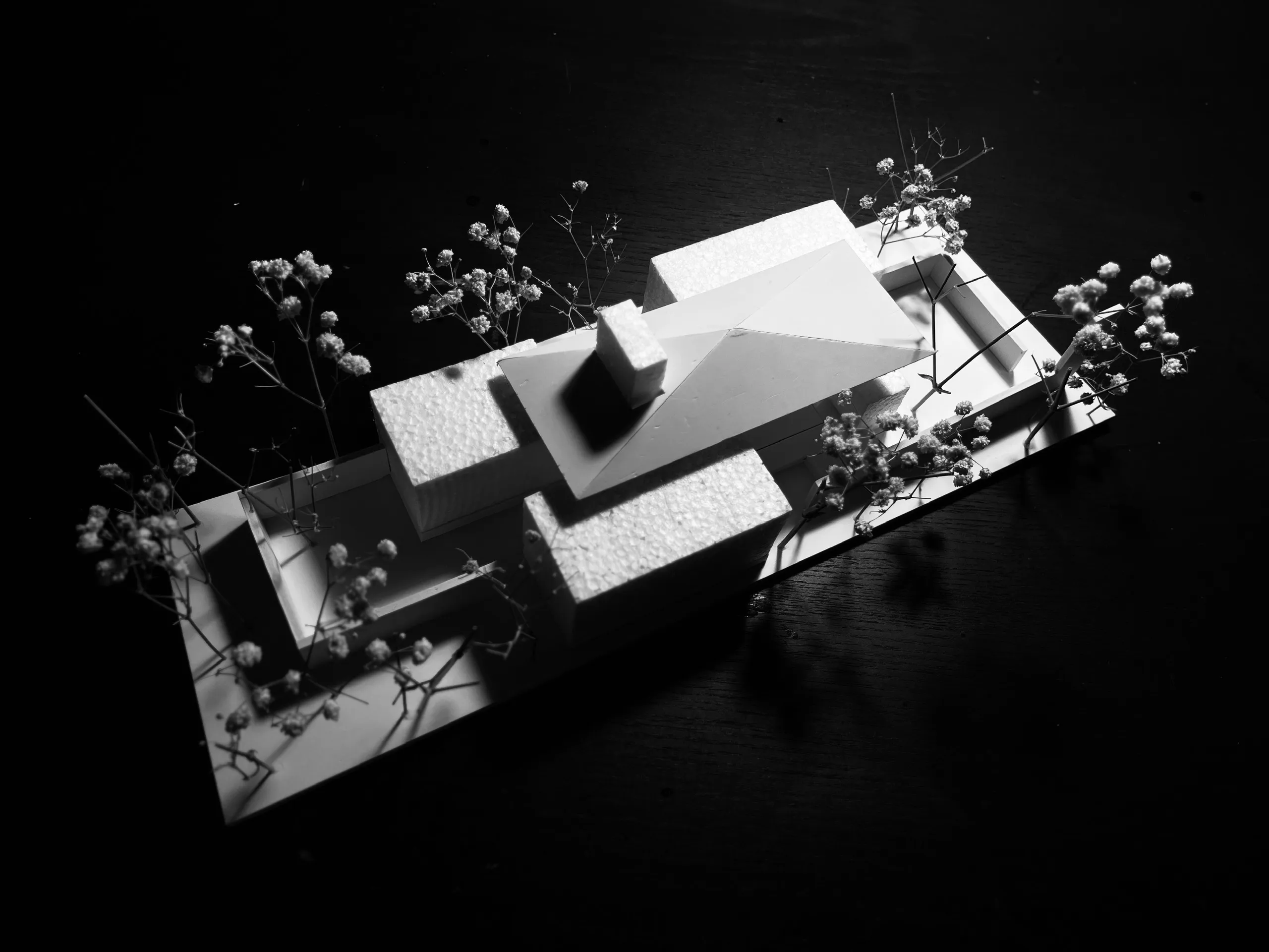 Dự án kiến trúc VuVi Va - Hình ảnh nổi bật 5